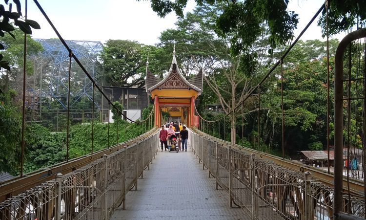 Aktivitas Menarik Jembatan Limpapeh