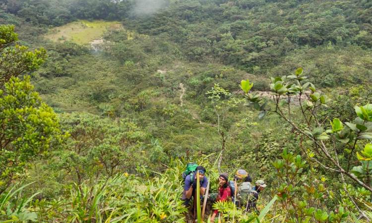 Aktivitas Menarik di Gunung Kunyit