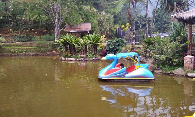 Aktivitas Menarik di Melrimba Garden