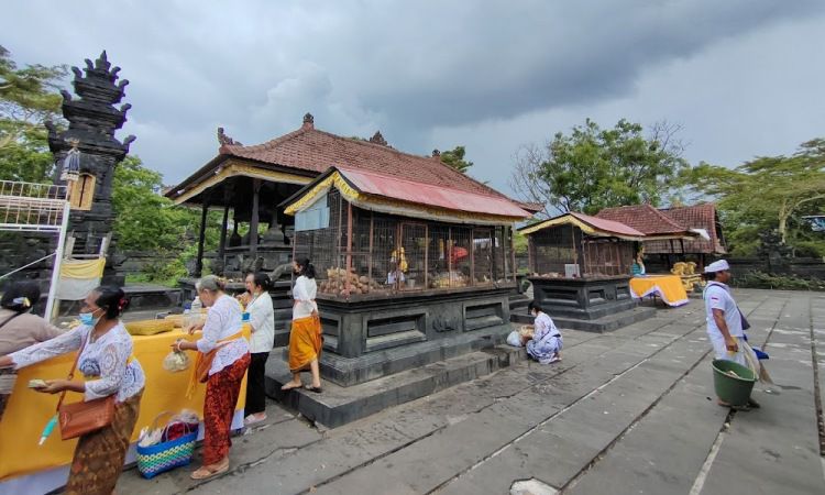 Aktivitas Menarik di Pura Segara Rupekd