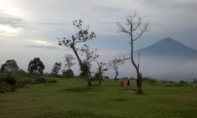 Aktivitas di Buffalo Hill