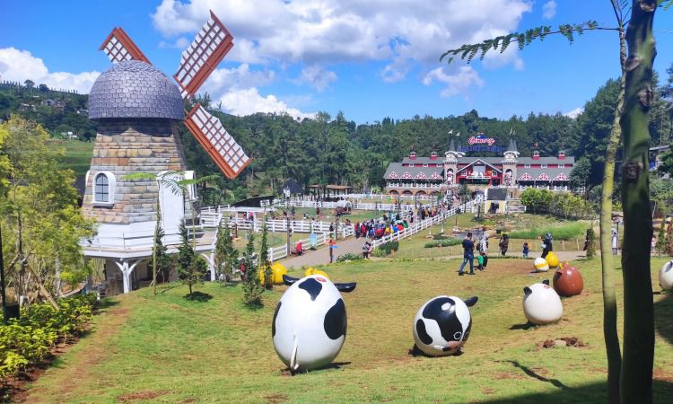 Aktivitas di Cimory Dairyland