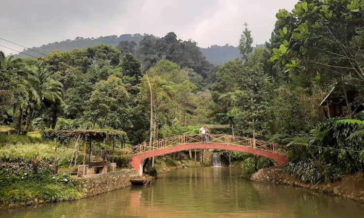 Aktivitas di Melrimba Garden