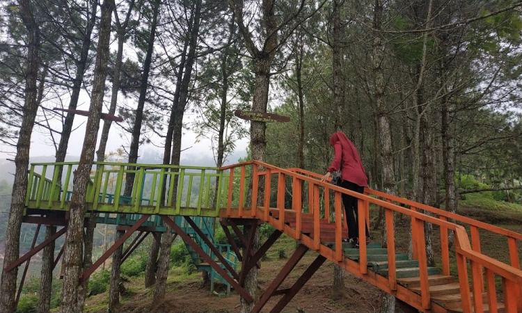 Aktivitas di Puncak Sawiyah