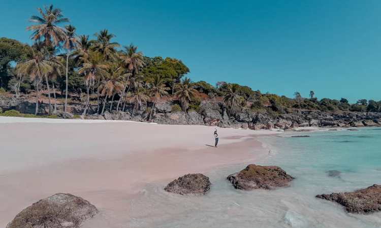 Aktivtas Menarik di Pulau Semau