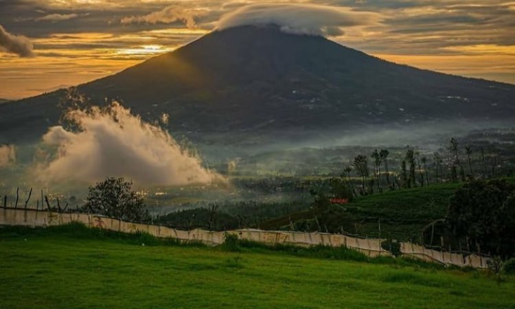 Daya Tarik Dimiliki Buffalo Hill