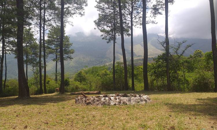 Daya Tarik Dimiliki Bukit Lambosir