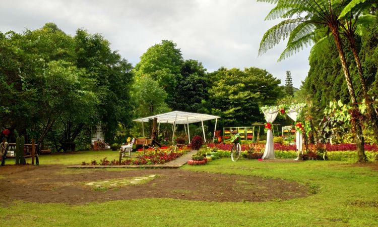 Daya Tarik Dimiliki Melrimba Garden