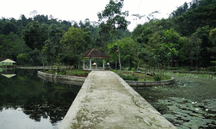 Harga Tiket Situ Janawi