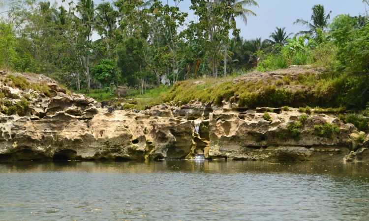 Harga Tiket di Sungai Oyo
