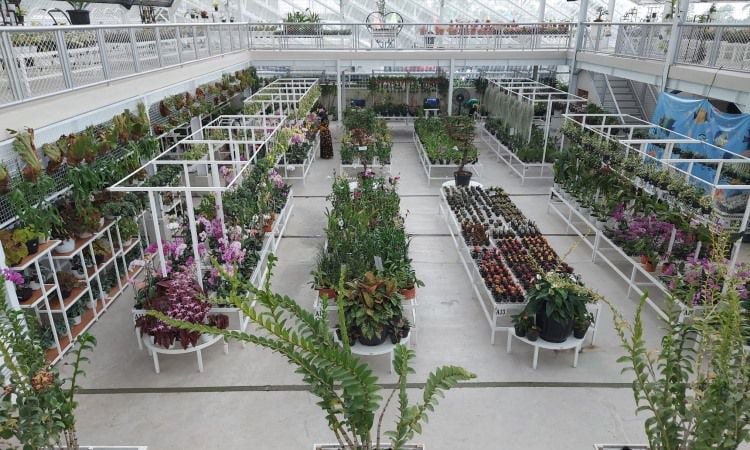 Aktivitas Lain Suraloka Zoo Sleman