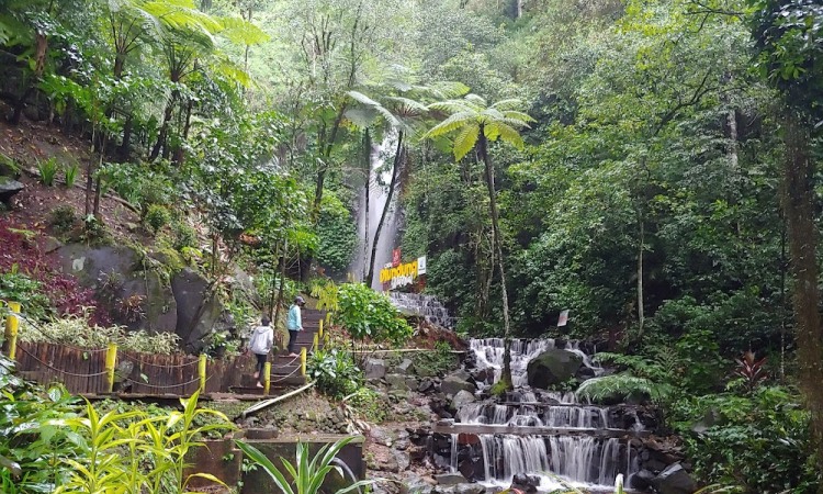 Aktivitas Menarik di Air Terjun Dlundung