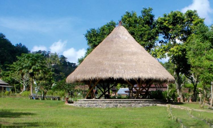Aktivitas Menarik di Bali Countryside