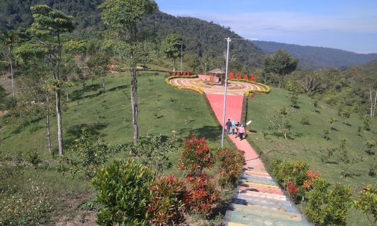 Aktivitas Menarik di Kebun Raya Liwa