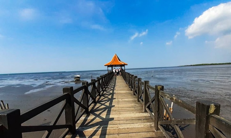 Aktivitas Menarik di Pantai Bentar