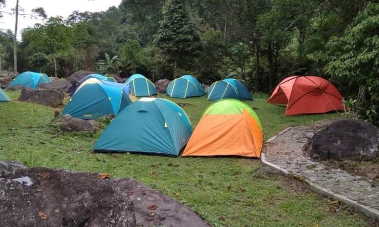 Aktivitas di Pondok Halimun