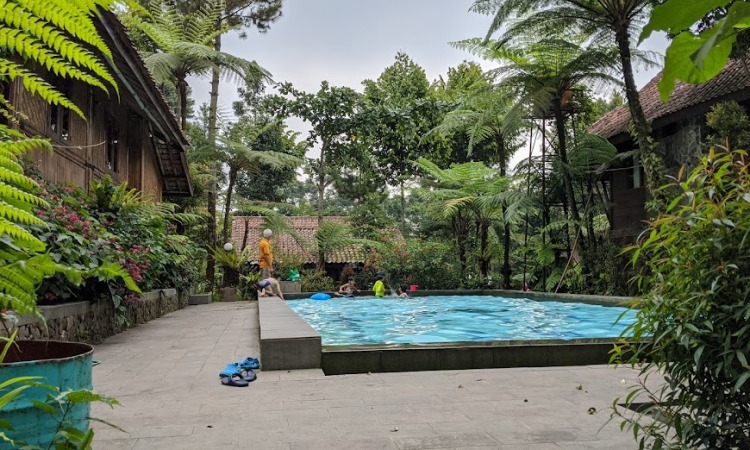 Aktivitas di Pondok Rasamala