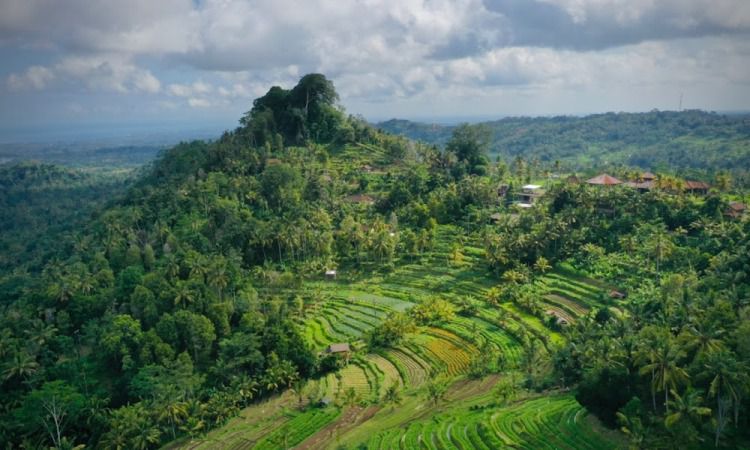 Daya Tarik Bukit Jambul
