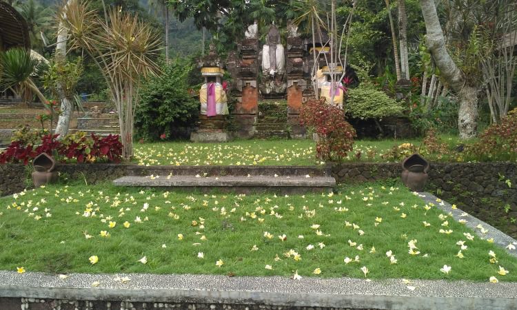 Daya Tarik Dimiliki Bali Countryside Sidemen