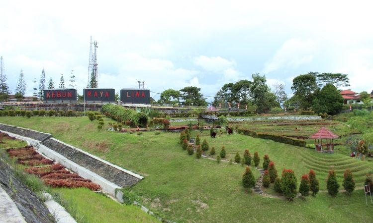 Daya Tarik Dimiliki Kebun Raya Liwa