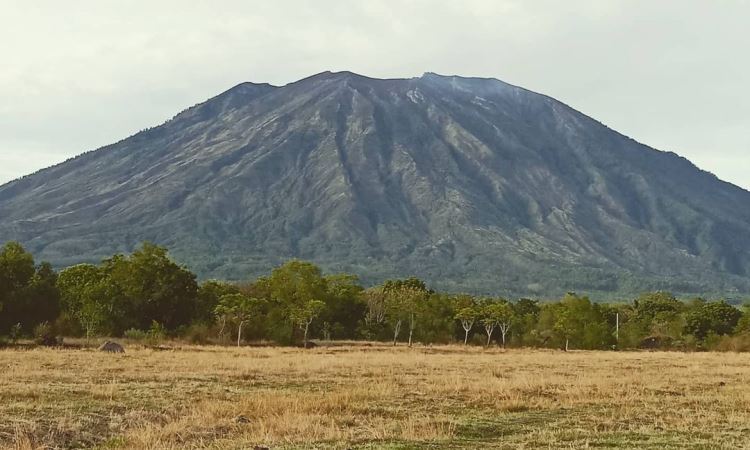 Fasilitas di Savana Tianyar