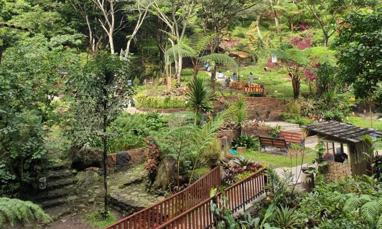 Harga Tiket Air Terjun Dlundungan