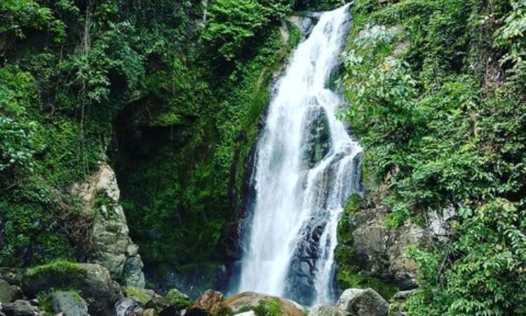 Harga Tiket Air Terjun Lubuk Hitam