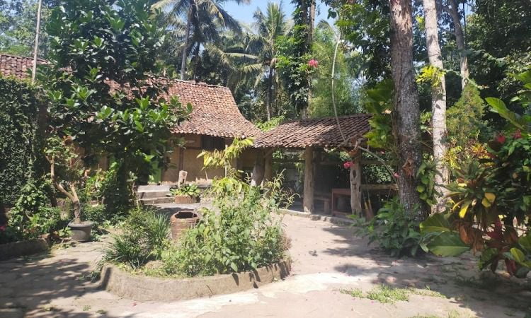 Harga Tiket Desa Wisata Pentingsari