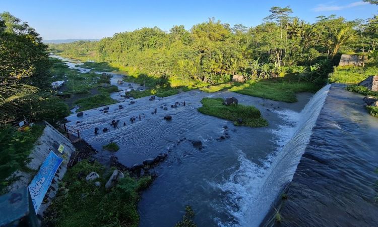 Harga Tiket Grojongan Watu Purbo