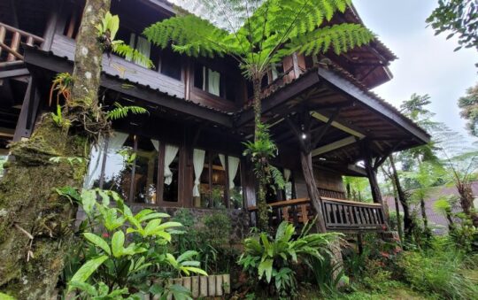 Pondok Rasamala, Penginapan Modern dengan Panorama Alam Memukau di Bogor