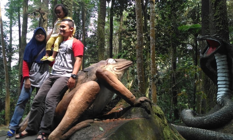 Aktivitas Air Terjun Grojogan