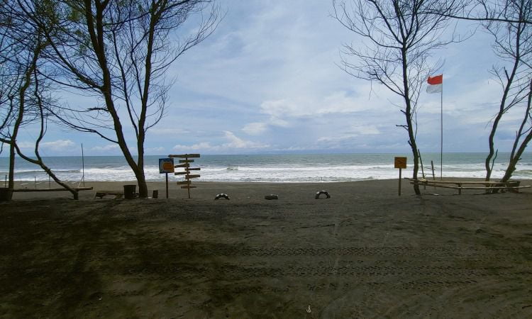 Aktivitas Dilakukan di Pantai Baru