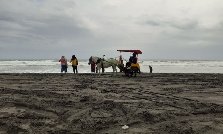 Aktivitas Menarik Pantai Parangkusumo