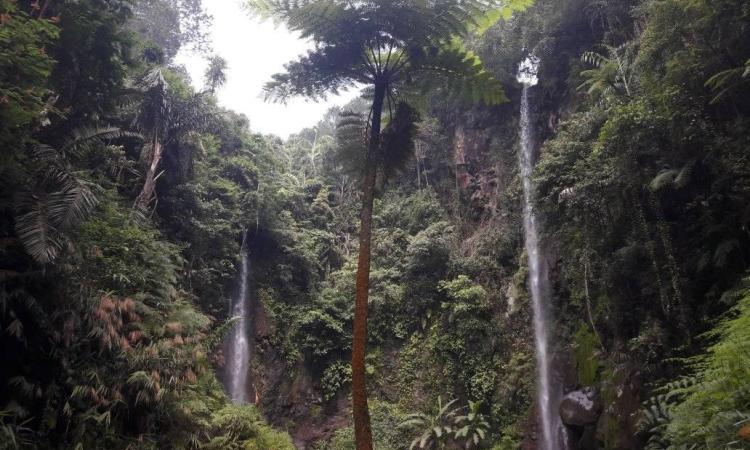 Curug Badak, Surga Alam Tersembunyi Nan Eksotis di Tasikmalaya
