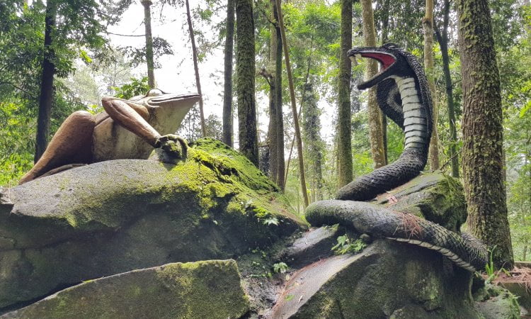 Daya Tarik Air Terjun Grojogan