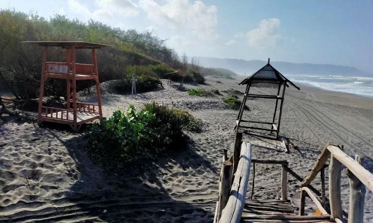 Daya Tarik Dimiliki Pantai Cemara Sewu