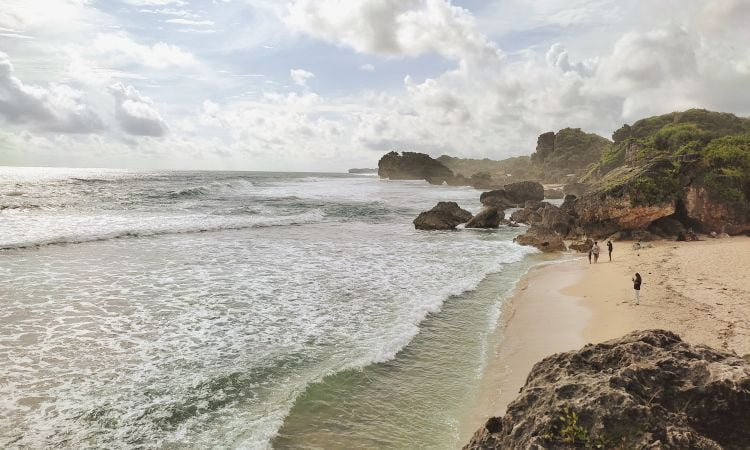 Daya Tarik Pantai Ngrumput