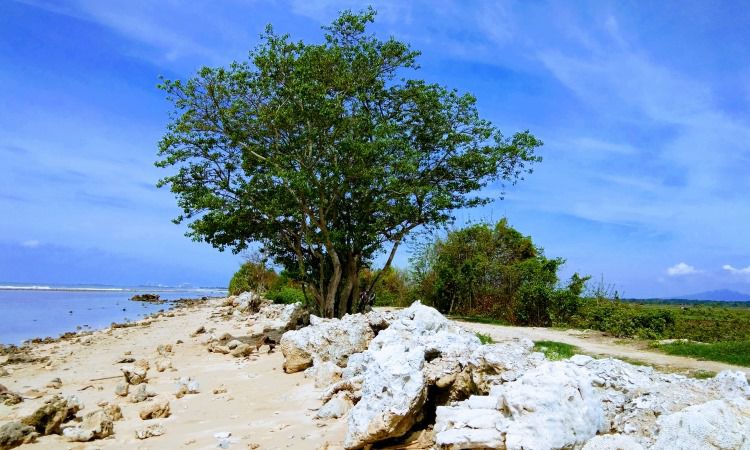 Harga Tiket Masuk Pantai Empu Rancak
