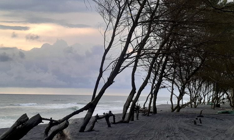 Harga Tiket Pantai Baru