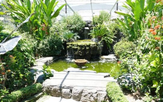 Kemenuh Butterfly Park, Taman Rekreasi Favorit & Sarana Edukasi di Gianyar Bali
