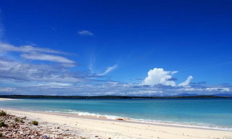 Pantai Cemara, Pesona Pantai Indah yang Memanjakan Mata di Lombok Timur
