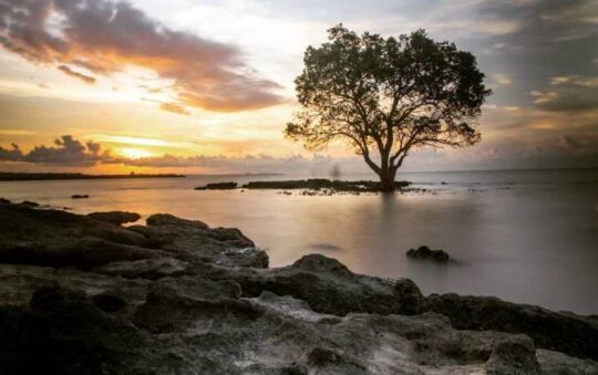 Pantai Oesapa, Spot Terbaik Menikmati Panorama Sunset Sembari Kulineran di Kupang