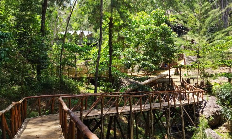 Rute Menuju Lokasi Rumah Hobbit