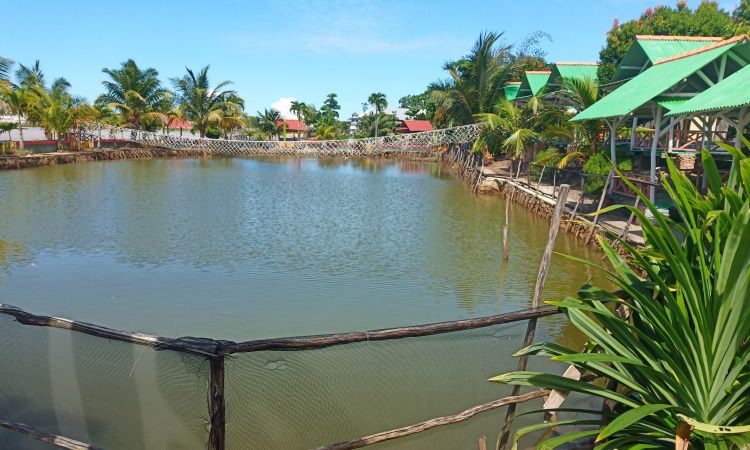 Daya Tarik Taman Kolong Wisata