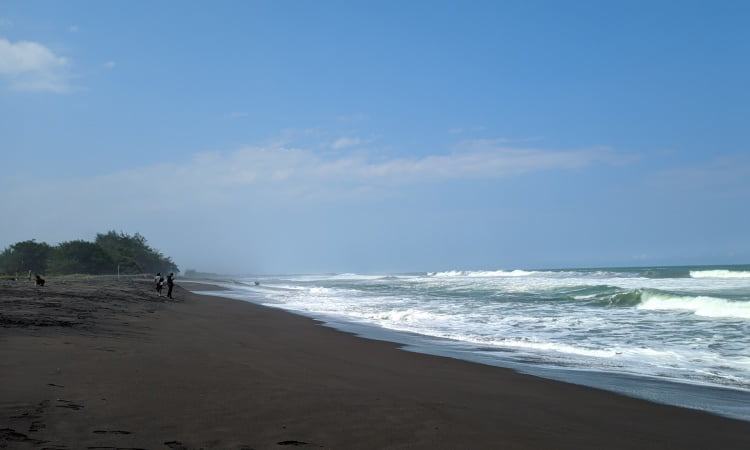 Harga Tiket Masuk Pantai Congot