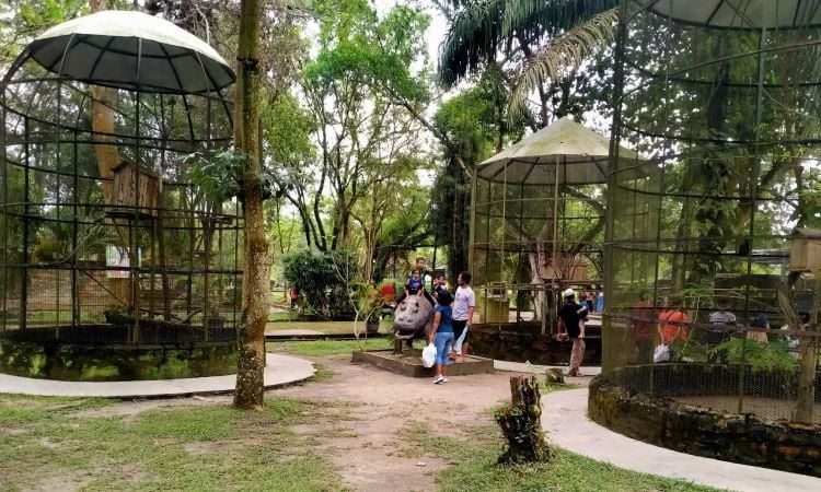 Kebun Binatang Kasang Kulim, Wisata Edukasi dengan Beragam Jenis Satwa di Kampar - iTrip