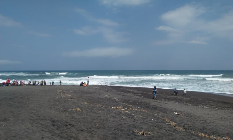 Aktivitas Menarik Pantai Pandansari