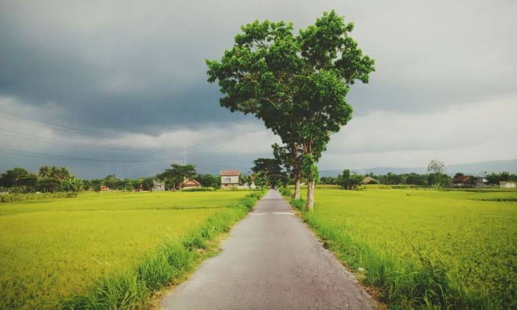 Alamat Desa Tembi Bantul