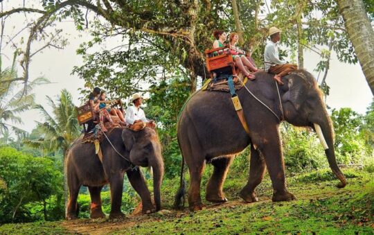 Bali Elephant Camp, Wisata Edukasi Favorit untuk Liburan Keluarga di Badung Bali