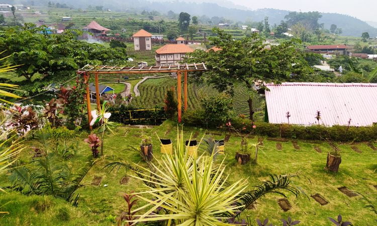 Daya Tarik di Taman Kelinci Pacet